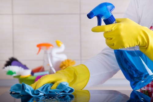 Harlington Carpet Cleaners company introduction and professional carpet care
