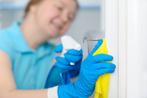 Harlington sofa cleaning process with upholstery care